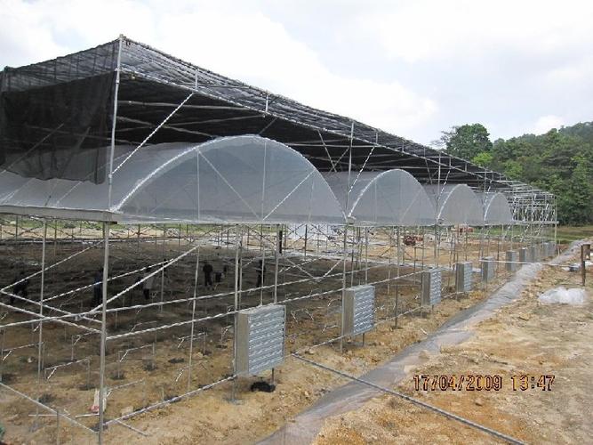 农业种植大棚 广西智能化大棚厂家造价